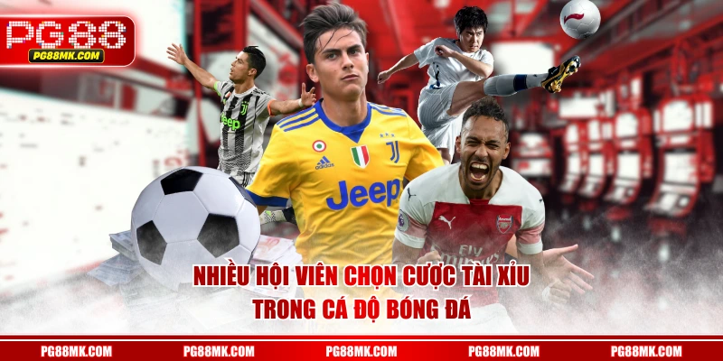 Nhiều hội viên chọn cược Tài Xỉu trong cá độ bóng đá